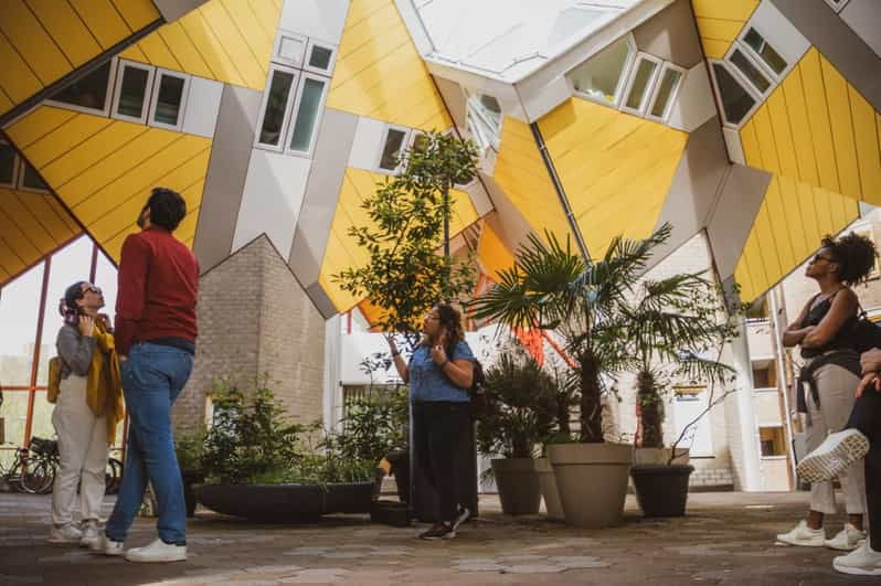 Rotterdam: Highlights & Hidden Gems Walking Tour With Local