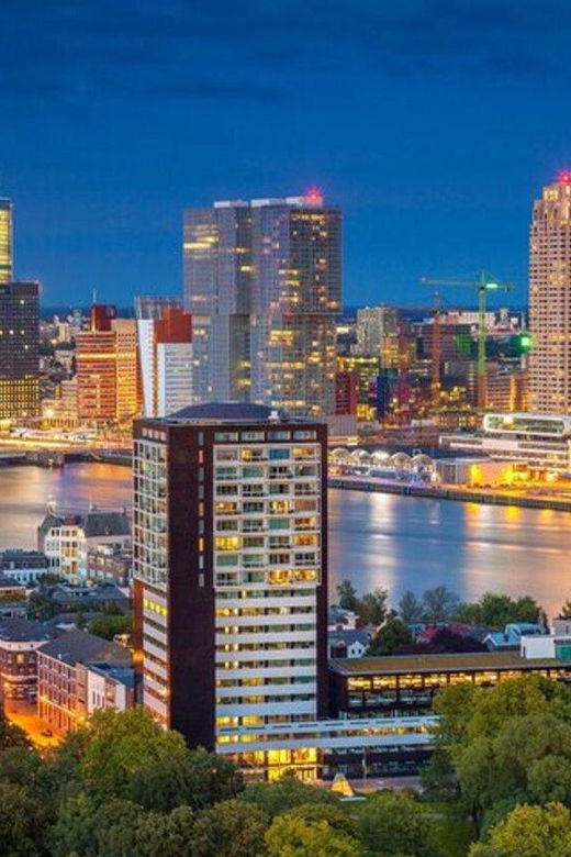 Rotterdam: Must-See Attractions Guided Walking Tour