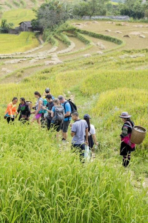 Sa Pa: Muong Hoa Valley Trek and Local Ethnic Villages Tour