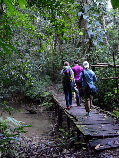 San Cristobal: 5 Days Jungle Adventure - Tour Overview and Pricing