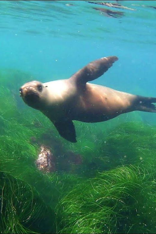 San Diego: Full-Day Snorkeling Gear Rental Package - Package Overview