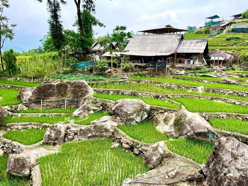 SAPA 2 DAY Trekking & 1 Night Homestay With LOCAL PEOPLE - Tour Overview and Pricing