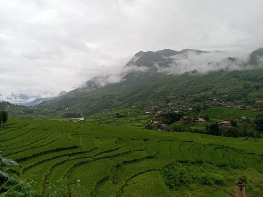 SAPA 2 Day Trekking & 1 Night Homestay With LOCAL PEOPLE - Overview of the Trekking Experience