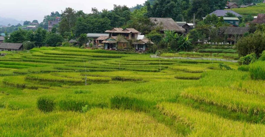 Sapa 2 Days 1 Night Overnight at Homestay With Local People