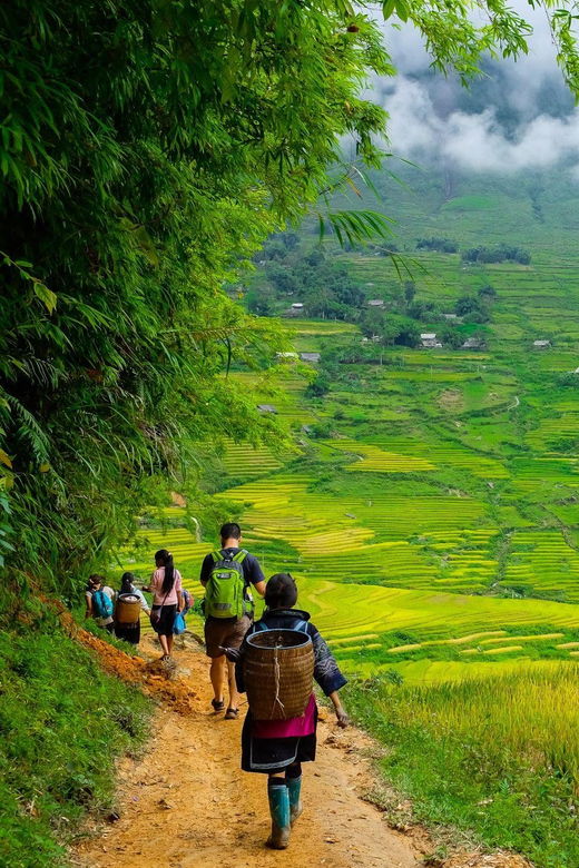 Sapa Beautiful Rice Field, Village - Easy Walking Kid,Senior - Itinerary Highlights