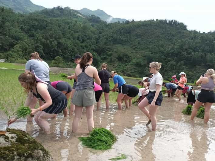 Sapa: Trekking 2 Days 1 Night in Homestay