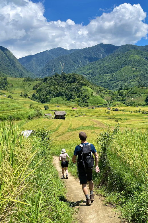 Sapa: Trekking Through Terraced Rice Fields & Valley 1 Day