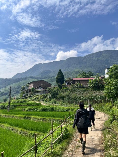Sapa Trekking Tour Homestay Rice Fields and Bamboo Forest