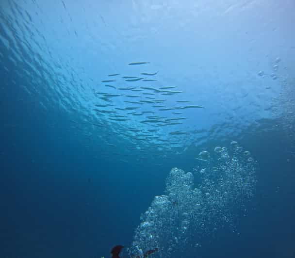 Scuba Diving Trip by Boat to the Beloved Spots Near Phuket