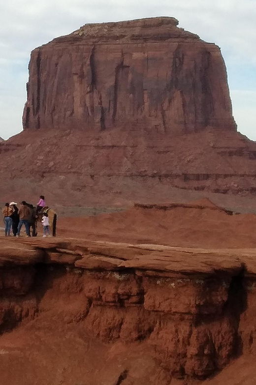 Sightseeing Vehicle Tour