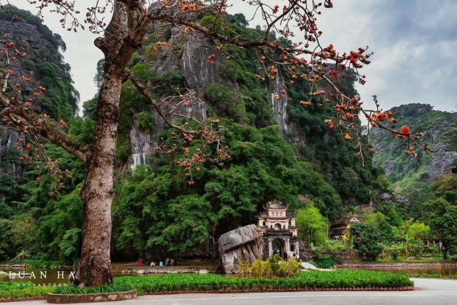 Small Group of 9 Guided Tour: Trang An, Mua Cave, Bich Dong - Overview of the Tour