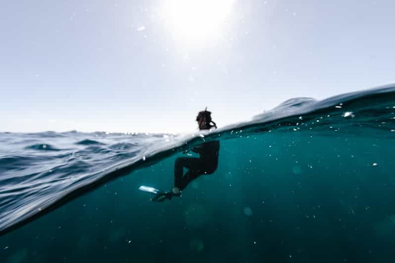Snorkeling in San Jose Del Cabo - Overview and Pricing