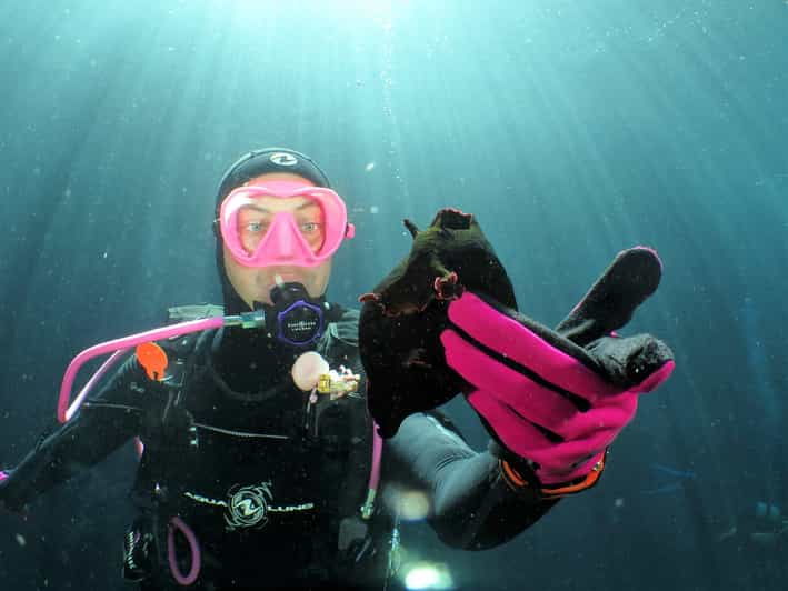 SSI Try Scuba Diving in the Sea - Activity Overview