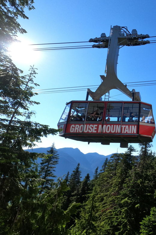 Stanley Pak-Capilano Susp Bridge & Grouse Mount Private Tour