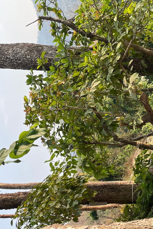 Sticky Waterfall Half-Day Tour With Private Car - Tour Overview