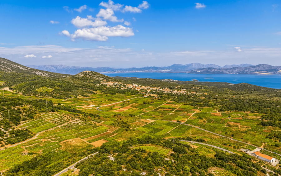Ston, Peljesac and Korcula Winetasting Tour