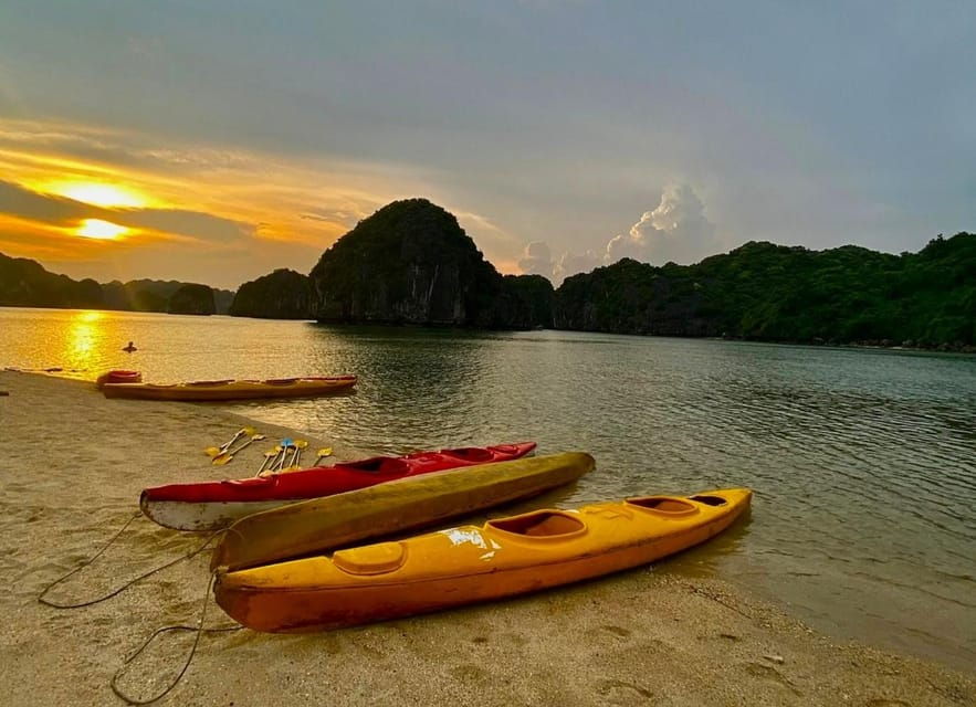 Sunset and Magical Bioluminescence Plankton Night Kayak Tour - Tour Overview