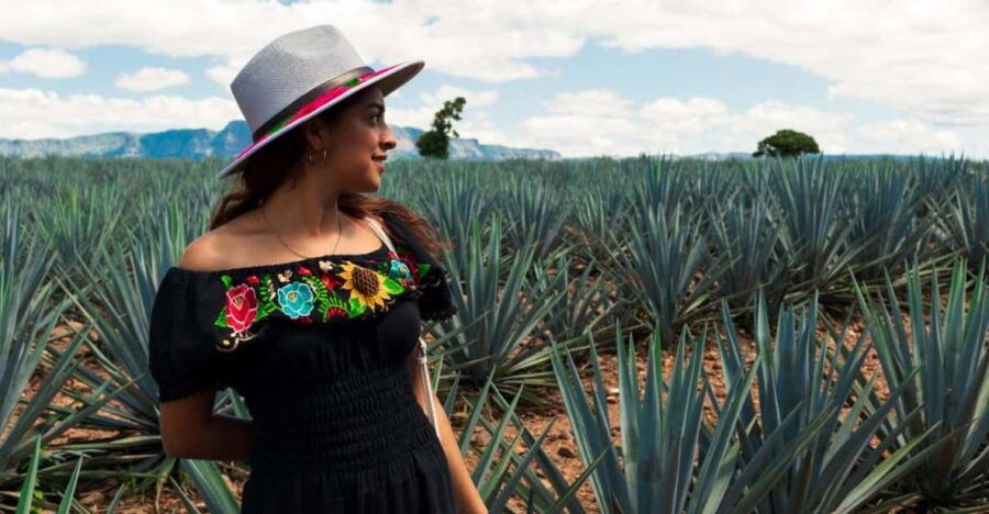 Tequila Full-Day Discovery Tour of Amatitan