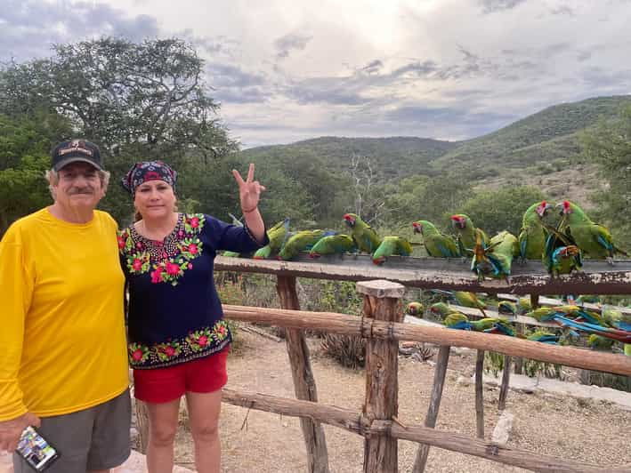The Guacamaya Experience From San Luis Potosí