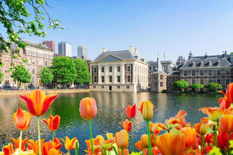 The Hague: Insta-Perfect Walk With a Local