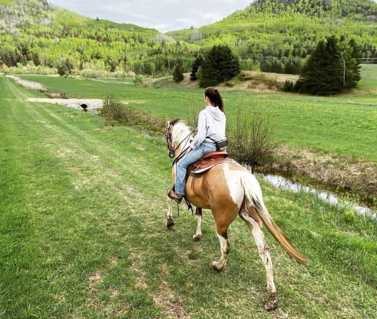 The Montagnarde: Guided Horseback Ride on Mountain Trails.
