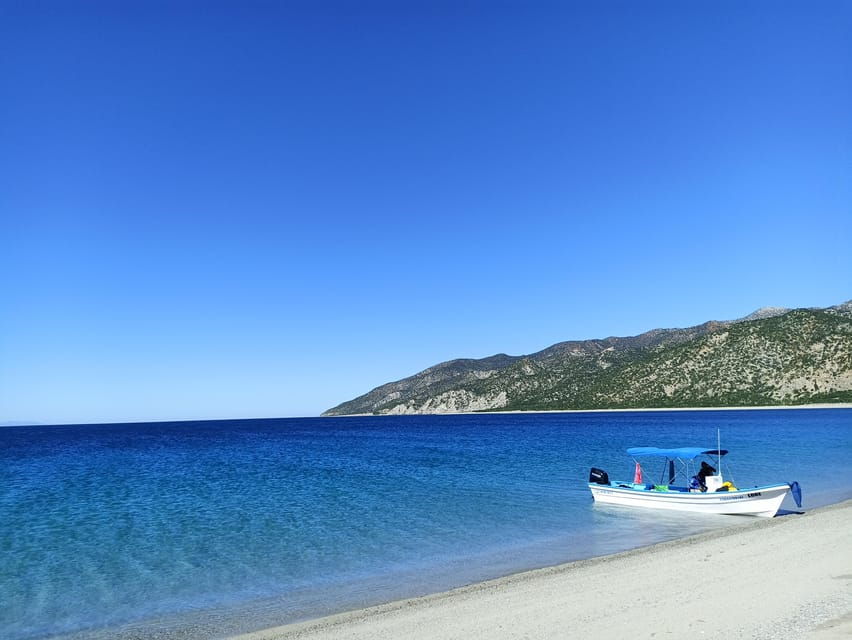 THE WINDOW: SCUBA DIVING CERTIFIED DIVERS 3 PEOPLE PACKAGE