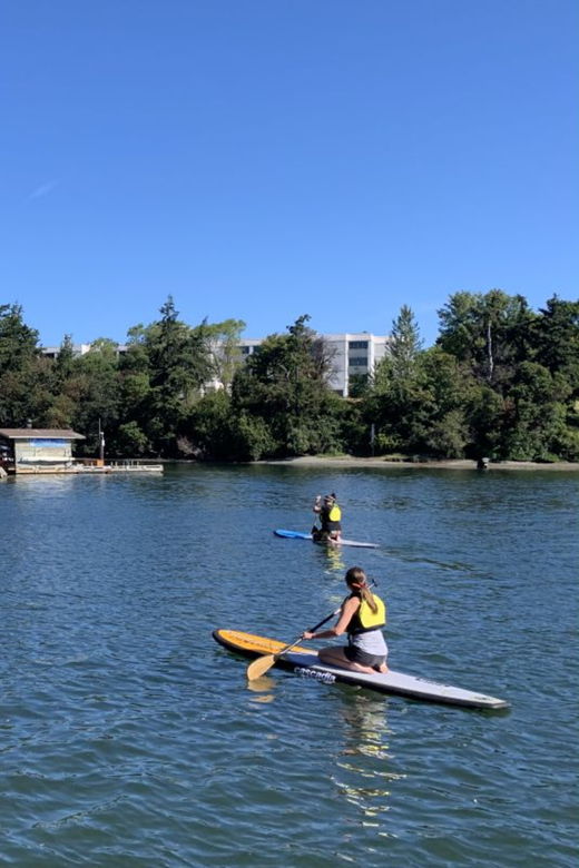 Thetis Lake: Paddle Board Tour With Gear Included - Experience Highlights