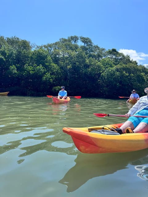 Tierra Verde: Shell Key Mangrove Private Guided 1.5 Hr Tour