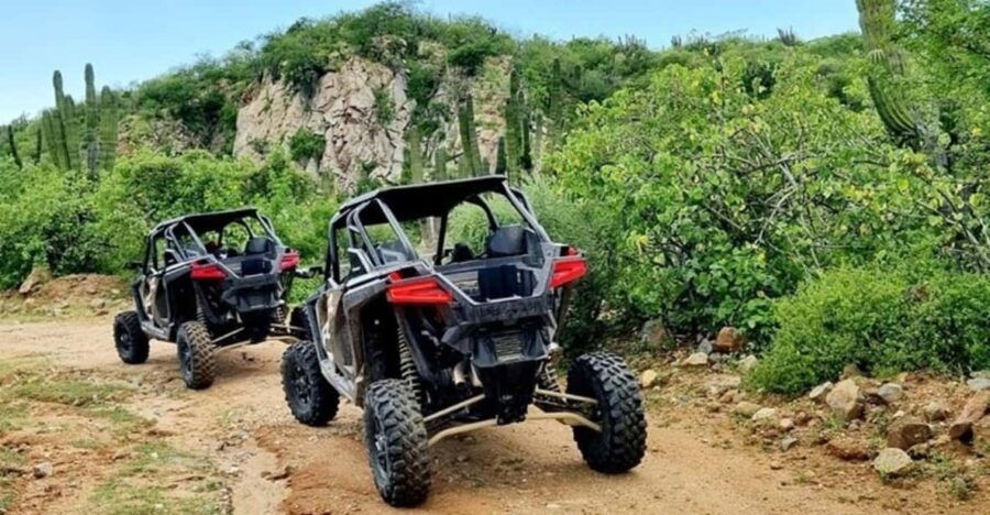 Todos Santos: 2023 RZR XP Pro Ultimate Off-Road Rental