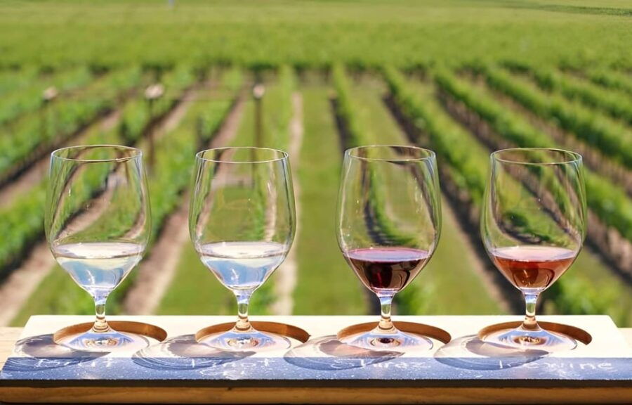 Toronto: Niagara-on-the-Lake, Winery & Chocolate Day Trip - Tour Overview and Pricing