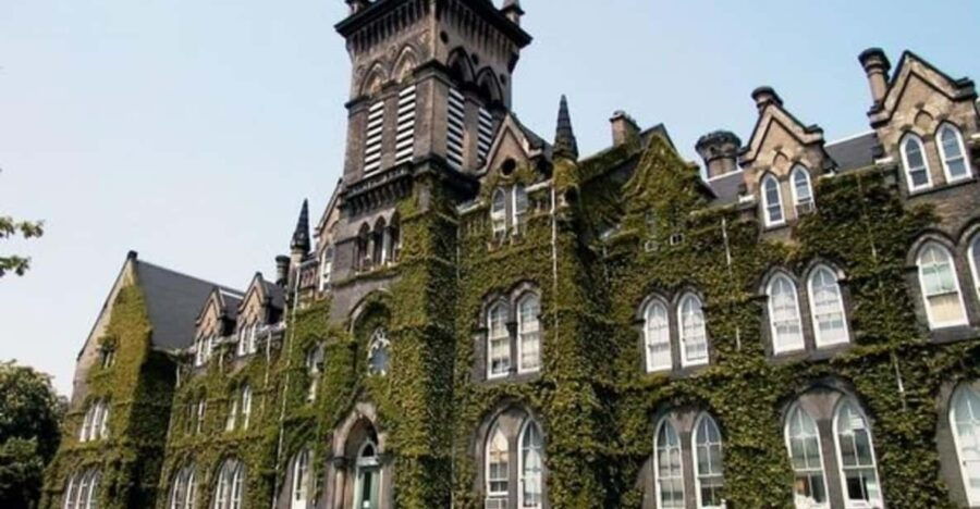 Toronto : Street Art Walking Tour With A Guide - Tour Overview