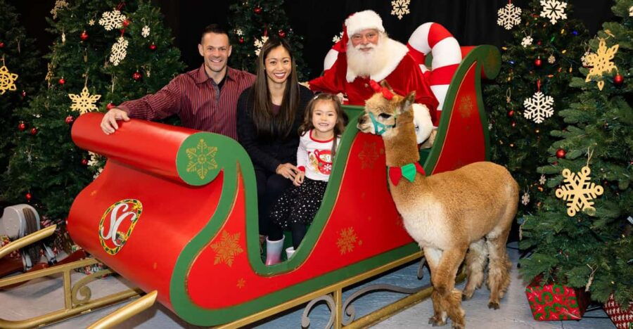 Torrington: Santa Photos & Alpaca Experience