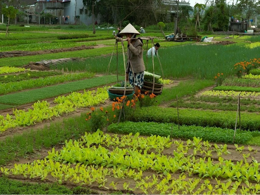 Tra Que Village Vegetable Farm Experience by Bike - Experience Overview