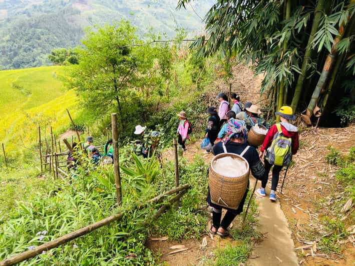 Trekking Sapa 1 Day – the Best Terraced Rice Field