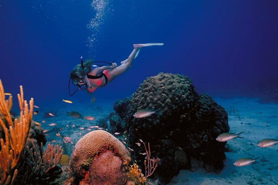 2 Best Scuba Diving Experiences In Racha Noi Island