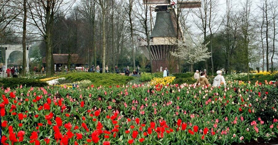Tulips & Canals: Private Day Trip to Keukenhof and Giethoorn