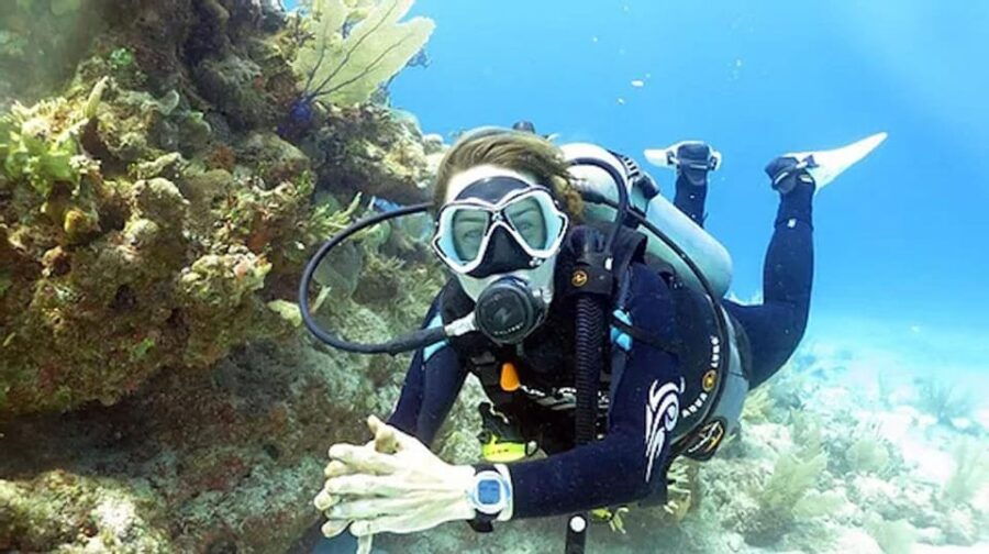 Tulum – 2 Tank Scuba Dive Casa Cenote & Barrier Reef + Lunch