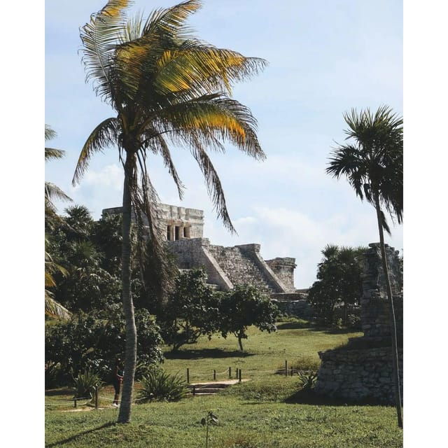 Tulum, Cenote and Swimming With Turtles PRIVATE TOUR