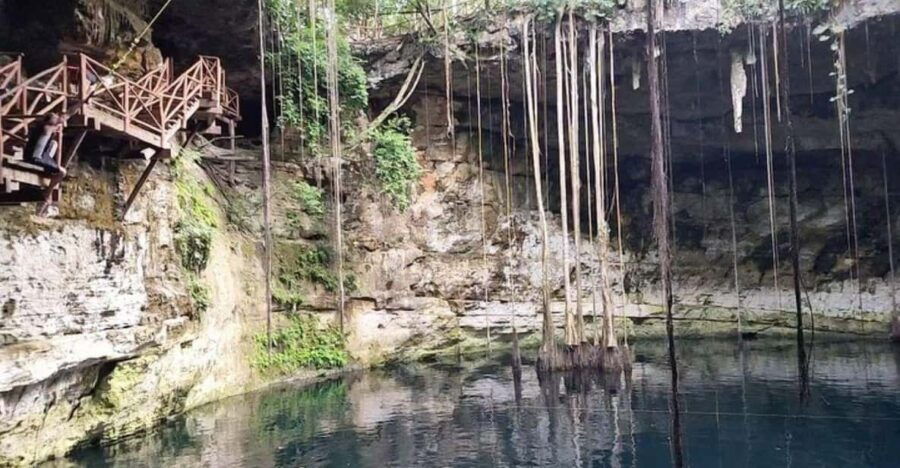 Tulum: Private Guide to the Most Pictured Cenote - Tour Overview and Pricing