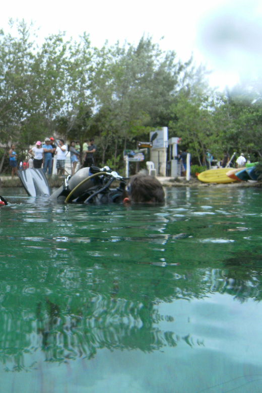 Tulum: Scuba Diving in Cenotes - Activity Overview