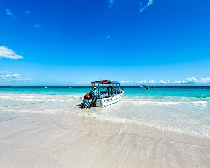 Tulum: Sport Fishing Experience With Ceviche - Activity Overview
