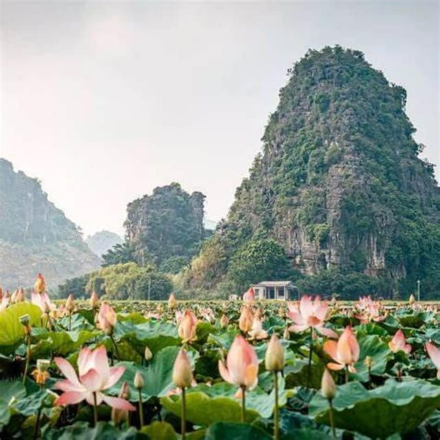 Unveil Ninh Binh’s Hidden Gems: Hoa Lu-Trang An-Hang Mua