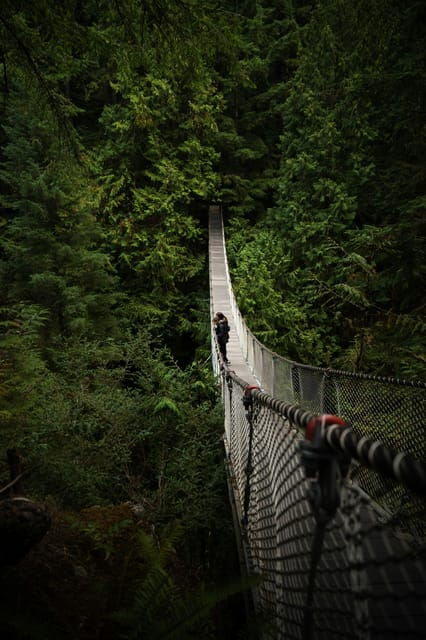 Vancouver: Guided Hiking Highlights at Grouse & Lynn Canyon - Tour Overview and Pricing