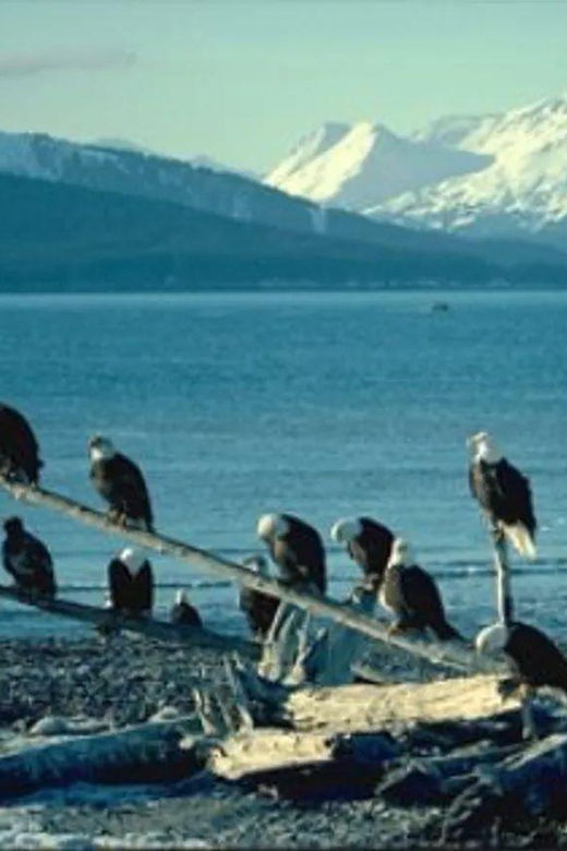 Vancouver: Sea to Sky Coast Tour With Free Time in Whistler
