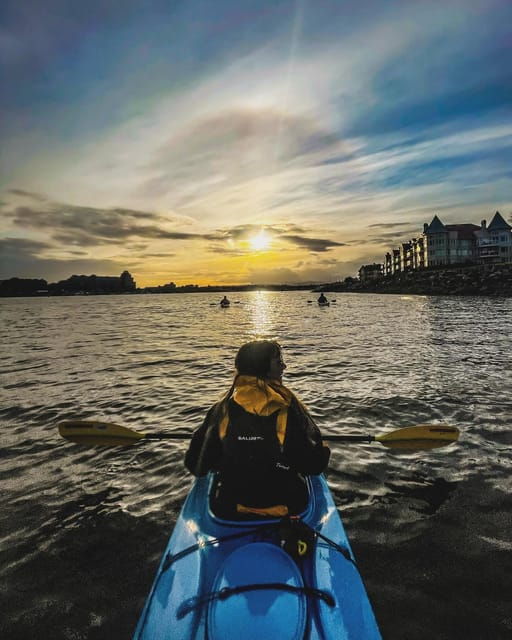 Victoria: Kayak Harbour Tour - Tour Overview and Pricing