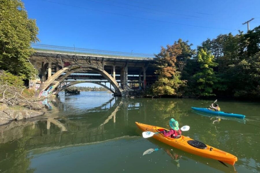 Victoria: Single Sea Kayak Rental - Rental Details and Pricing