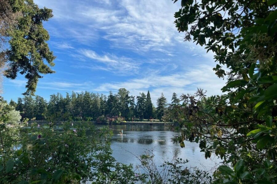 Victoria: Upper Gorge Waterway Paddle Boarding Tour - Tour Overview