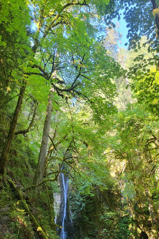 Victoria Waterfall, Skywalk, Trestle, Castle and Whales - Tour Overview and Pricing