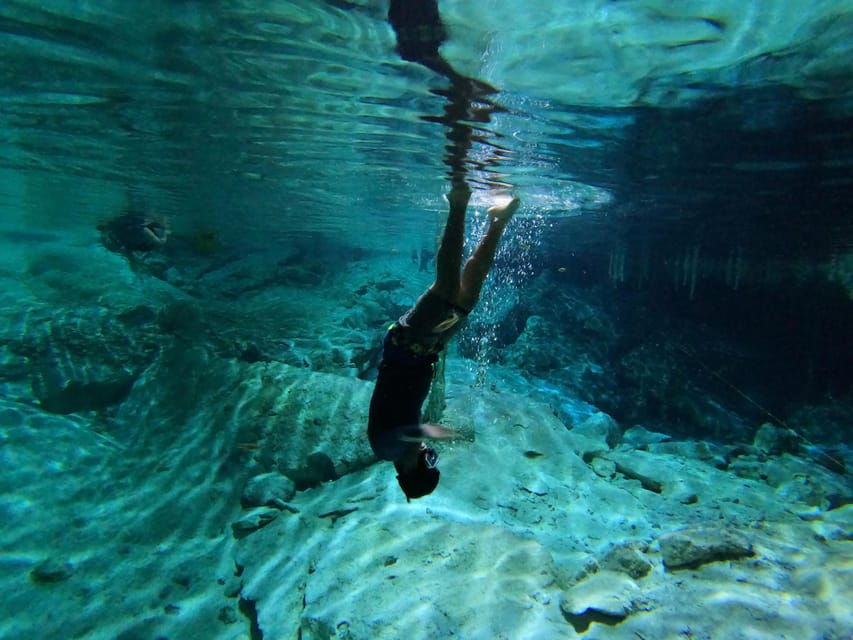 VIP 3 Cenotes Private Tour