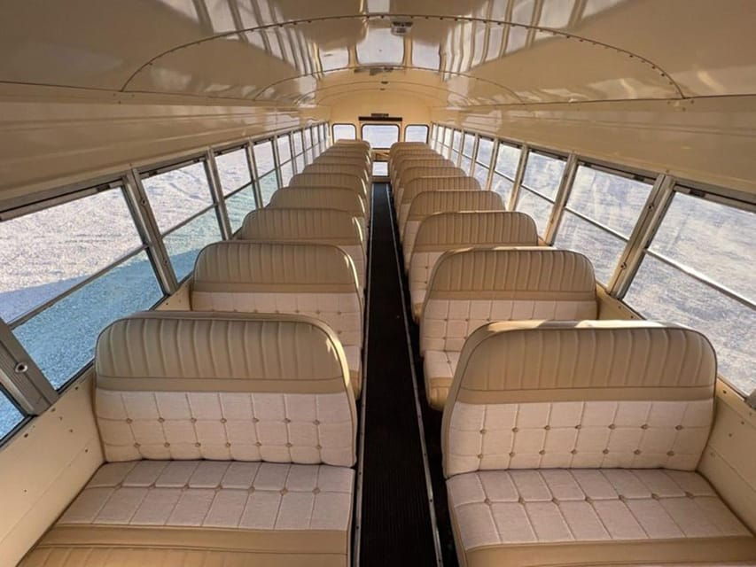 Warsaw: Modlin Airport Transfer via Party Bus - Overview and Pricing